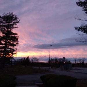 Meet your Posher, Theresa